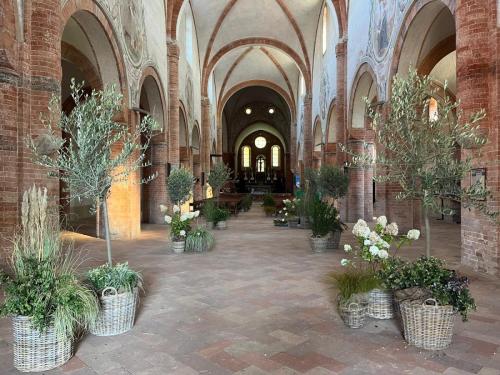 Cecchini-Vivai-e-Giardini6
